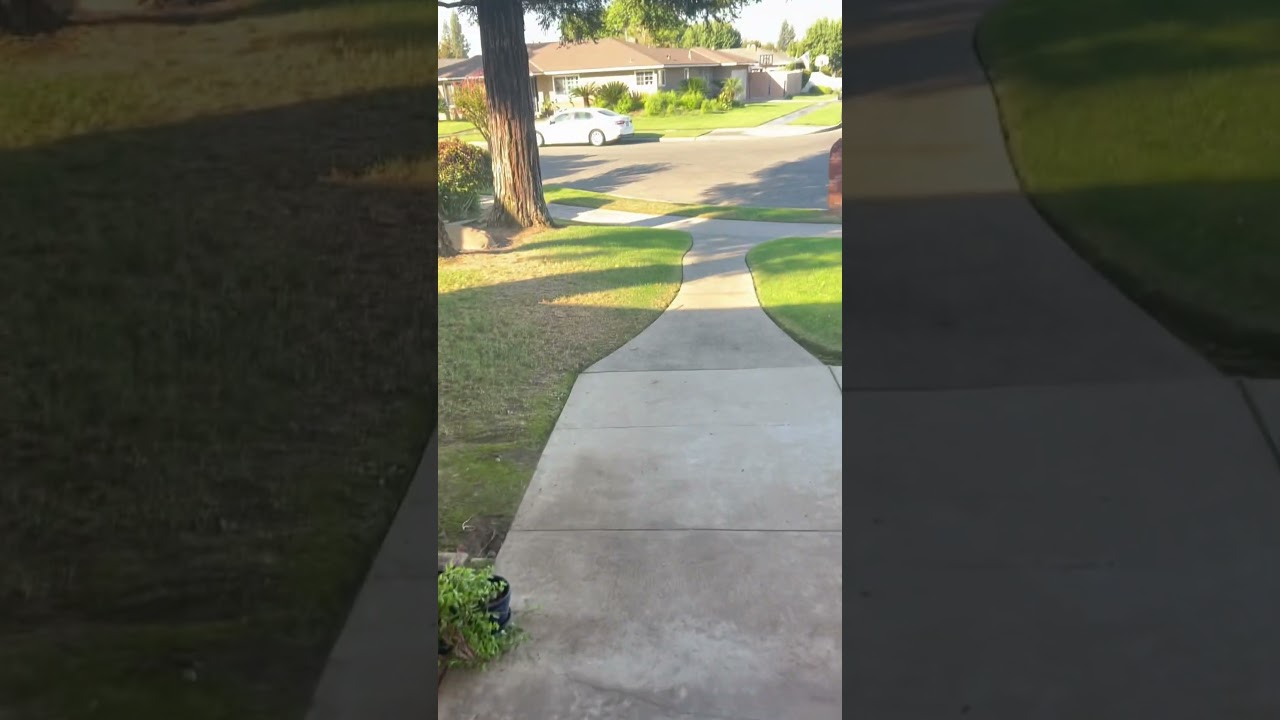 Time to put out the Halloween decorations