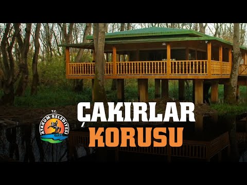 Atakum Belediyesi |