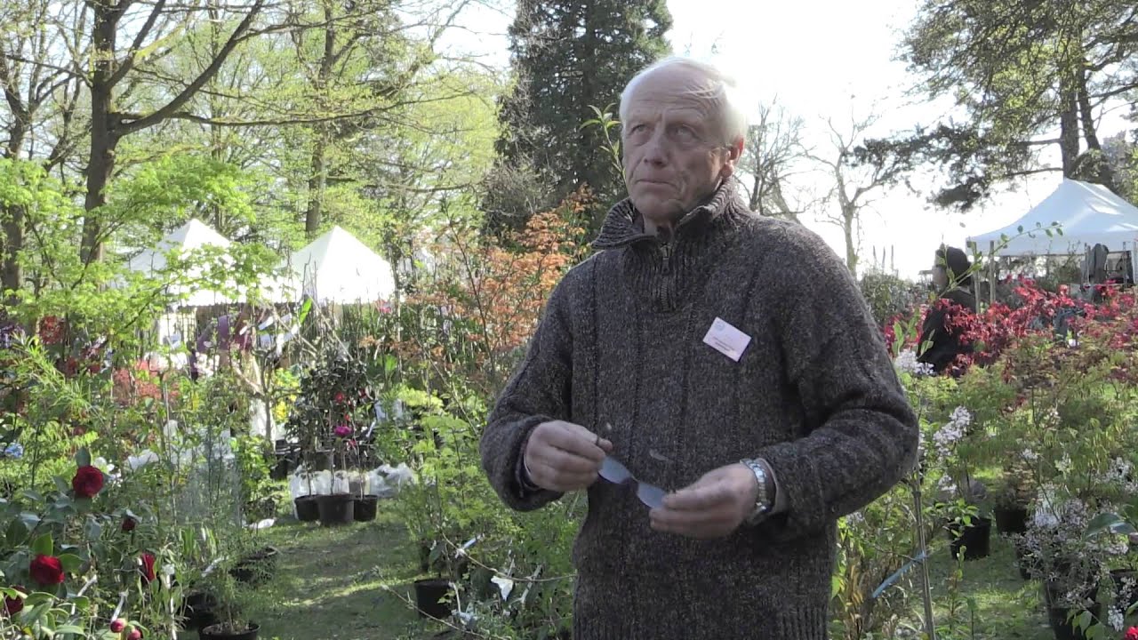 CAMÉLIAS, du JAPON à la BRETAGNE, un VOYAGE en FLEURS