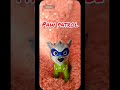 paw patrol, #pawpatrol , #paw, #patrol