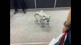security AI