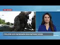 Країни НАТО провели переговори щодо підтримки України через агресію Росії