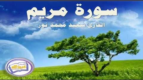 سورة مريم للقارئ سعيد محمد نور   جديد