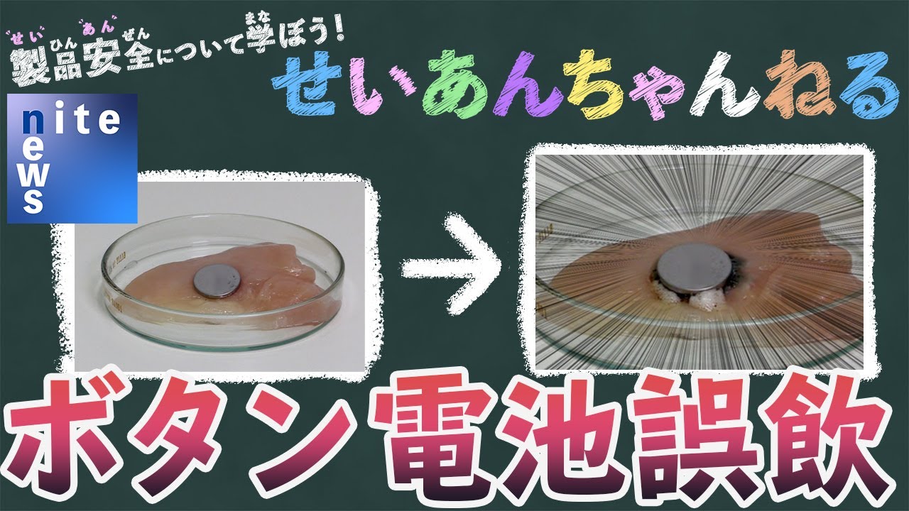 【せいあんちゃんねる】nite news 「子どものボタン電池の誤飲に注意」
