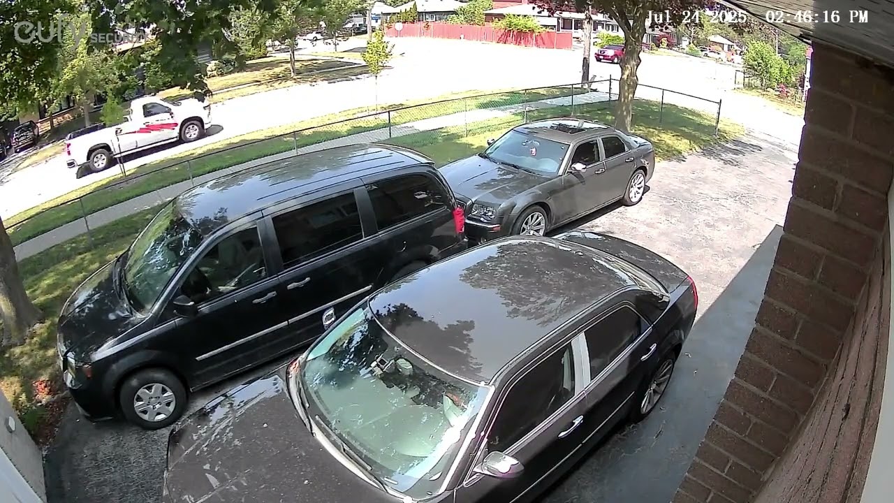 Pickup Truck Tears Through Coronation Drive at 100 km/h