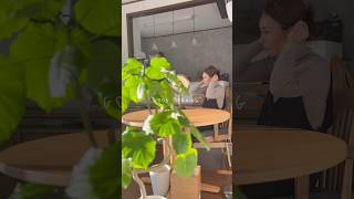 観葉植物に癒される朝 #50代  #観葉植物#暮らし#shorts