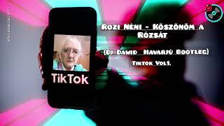 Rozi Néni - Köszönöm A Rózsát Đj Đawiđ Havarjú Bootleg Vol1.