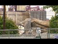 Demolition work continues at Centennial Mills
