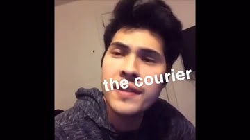 fallout new vegas as vines