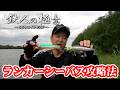 【ランカーシーバス編】オールシーズン使えるウェイクベイト SBウェイク165でのリバーシーバス攻略法｜Wild Trip/鉄人・松岡豪之（1706）
