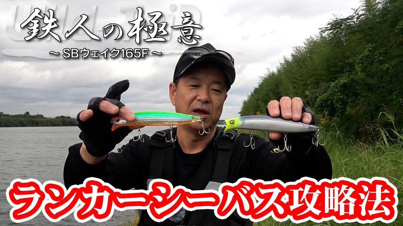 【ランカーシーバス編】オールシーズン使えるウェイクベイト SBウェイク165でのリバーシーバス攻略法｜Wild Trip/鉄人・松岡豪之（1706）
