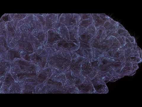 Medical art Brain function