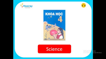 Unit 6 - How many lessons do you have today