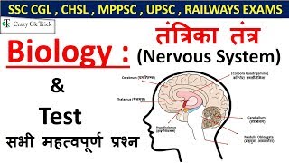 Gk : Nervous System ( तंत्रिका तंत्र )  For SSC CGL , CHSL , UPSC , RAILWAYS EXAMS