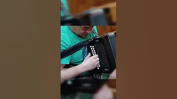 как быстро научиться играть частушки на гармони три аккорда 300 песен заказная гармонь гармонь 