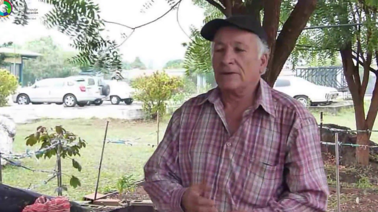 Bocashi, elaboración, usos y recomendaciones.