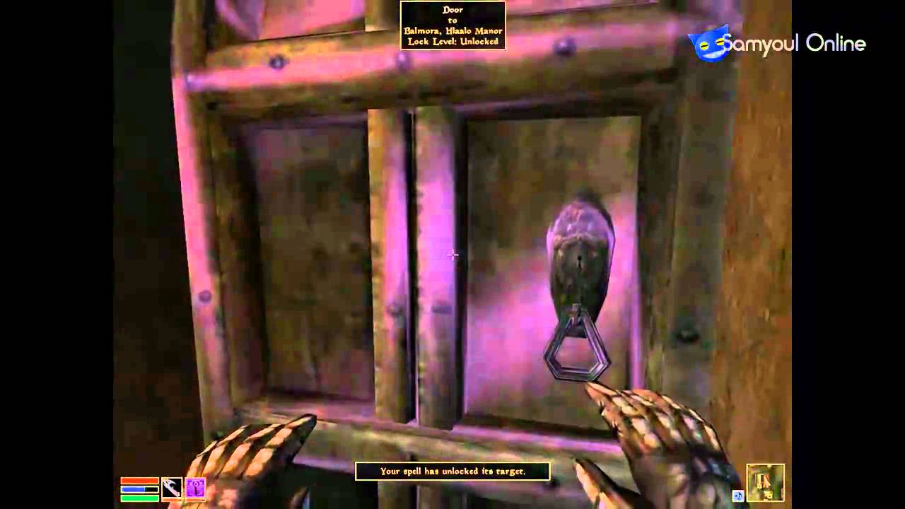 What is the Elder Features Brandy 16 What is the Elder Features Brandy 22