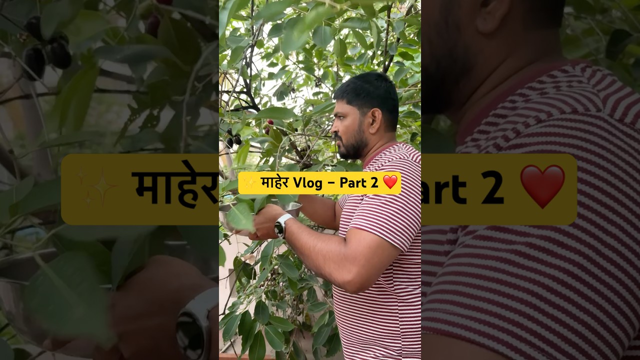 Gav cha vlog | village | mini vlog | family #marathireels #youtubeshorts #minivlog #vlogger #vlog
