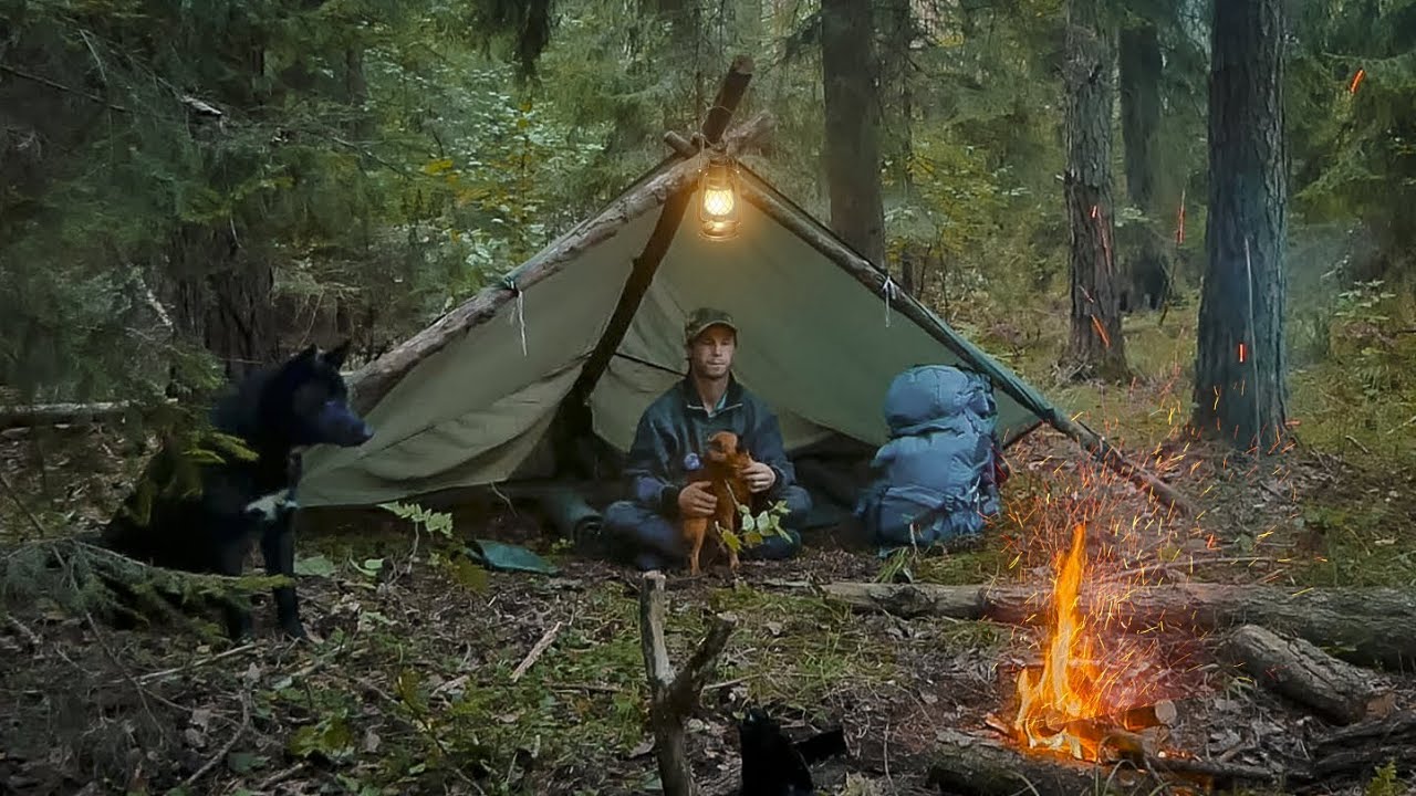 НОЧЕВКА В ЛЕСУ БЕЗ ПАЛАТКИ У КОСТРА . УКРЫТИЕ ИЗ ТЕНТА . ПОХОД В ЛЕС С СОБАКАМИ