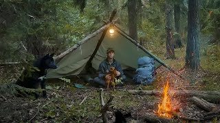 видео: НОЧЕВКА В ЛЕСУ БЕЗ ПАЛАТКИ У КОСТРА . УКРЫТИЕ ИЗ ТЕНТА . ПОХОД В ЛЕС С СОБАКАМИ картинка: НОЧЕВКА В ЛЕСУ БЕЗ ПАЛАТКИ У КОСТРА . УКРЫТИЕ ИЗ ТЕНТА . ПОХОД В ЛЕС С СОБАКАМИ