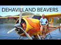 Jim the Pilot Flying a DHC-2 DeHavilland Beaver Seaplane (Part 2) - May 22, 2017