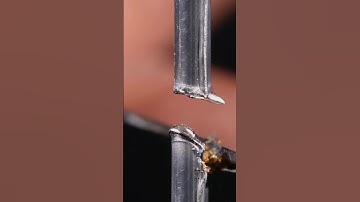 Lead and fire close-up.#macro #satisfying #asmr #slowmotion