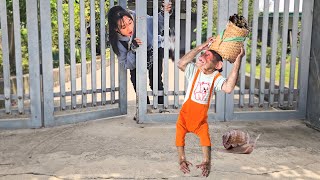 Download Lagu I very touched,unbelievable that Monkey Su could do special this THANKS neighbor? MP3 Download Lagu I very touched,unbelievable that Monkey Su could do special this THANKS neighbor? MP3