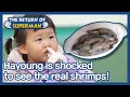 Hayoung is shocked to see the real shrimps! (The Return of Superman) | KBS WORLD TV 210314