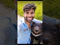 Wild Animal ke saath Selfie 😍 #animals #wildliferescue #cute #aivideo #ai #animalfriends #shorts