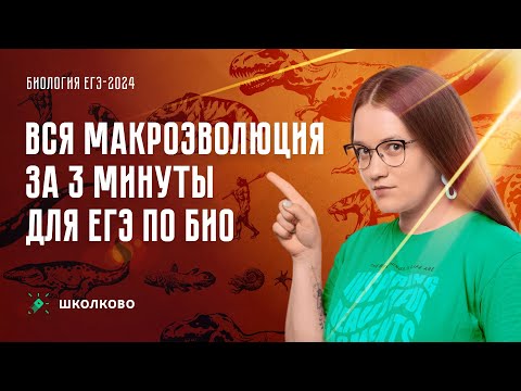 ВСЯ макроэволюция за