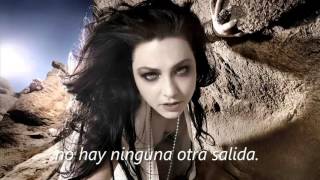 Evanescence: The best.&quot;Erase This&quot;