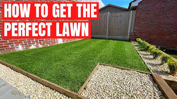 How to get the PERFECT LAWN - SIMPLE STEPS to get the LAWN you want
