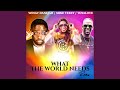 What The World Needs Alternate Mix mp3
