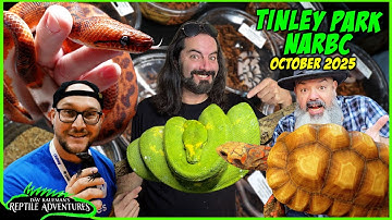 Tinley Park NARBC Reptile Expo! October, 2025 (YOU PICK THE WINNER!)
