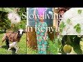 Slow Living in the Kenyan Countryside 🌿 | Preparing Lunch & Harvesting Maize at Home