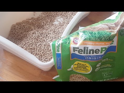 Videó: A Scoop a Feline Pine Clumping Litter-en