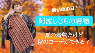 再びの暑さ、阿波しじらを選びました。夏の着物ですが、秋コーデができる子。