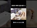 아빠랑 일본여행 왔는데 이게 맞냐고요 ㅋㅋㅋ