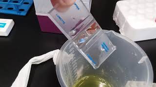 Cleaning Hemacytometer