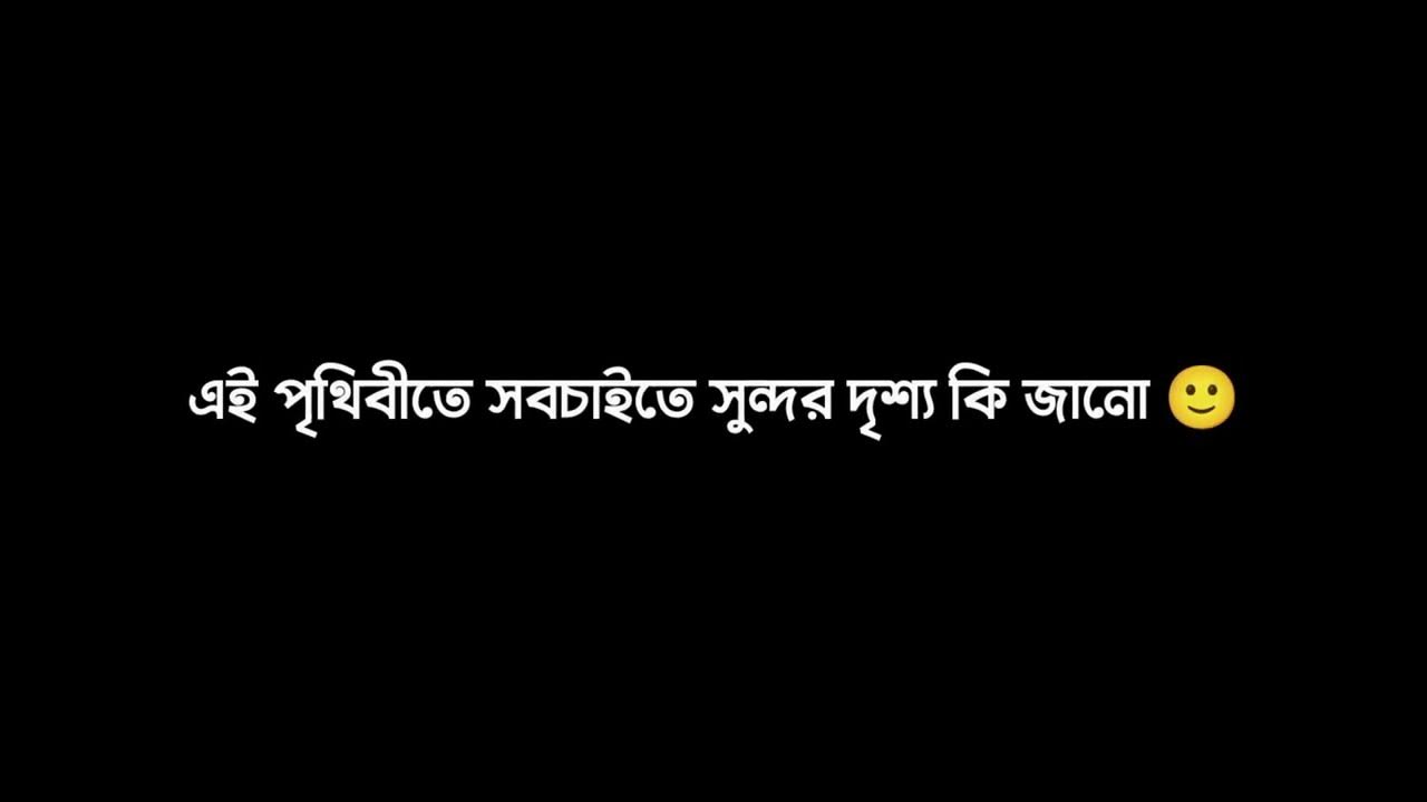PITHIBITE SOB CHAITE SONDOR DRESHO KI JANO🥺! BANGLA LOVE STATUS