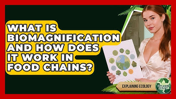 What Is Biomagnification And How Does It Work In Food Chains? - Explaining Ecology