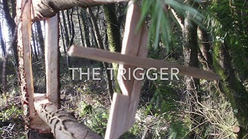 Siberian Deadfall Trap