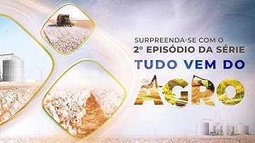 Tudo vem do Agro - Episódio 2 - O Algodão