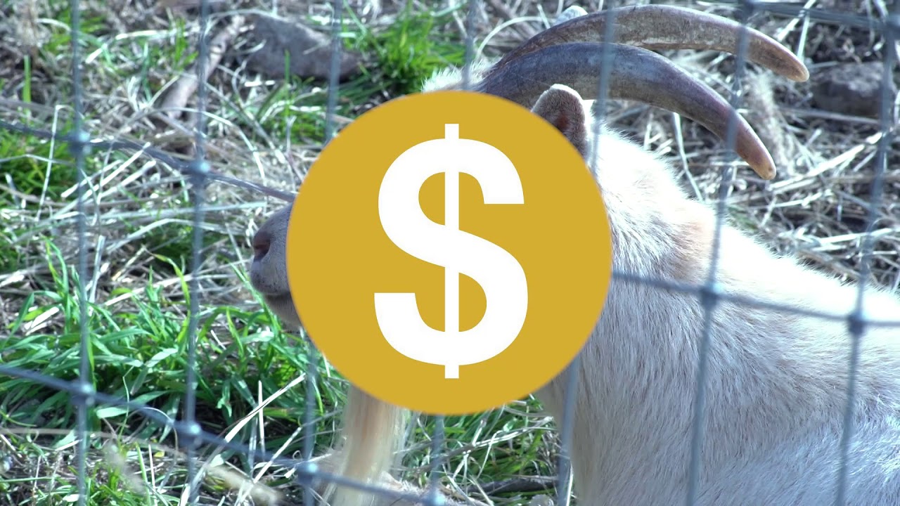 Patreon Announcement