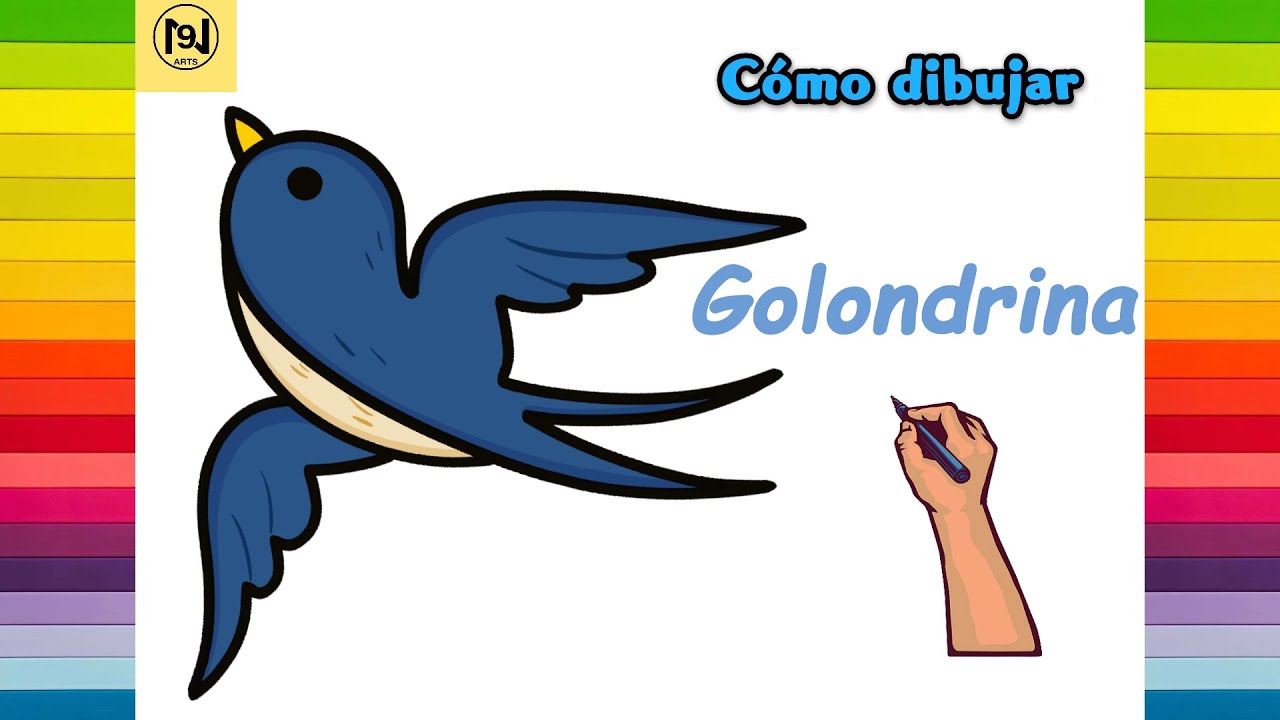 Cómo dibujar un pájaro golondrina fácil para adultos | No.9 ARTES - YouTube