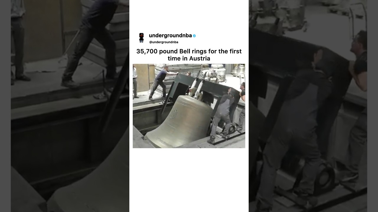 The VIBRATION IS INSANEEE 