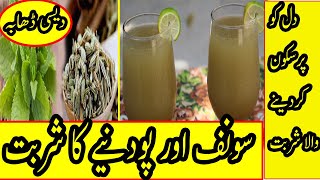 Saunf aur Pudina Ka Sharbat Banane Ka Tarika | Fennel Seed and Pudina Junice | By Desi Dhaba