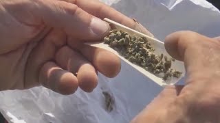 Why "420" became associated with weed