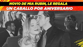 Novio de Mía Rubín le regala un caballo por aniversario🐎🤩