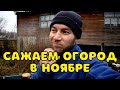 ОСЕНЬ, А МЫ САЖАЕМ ОГОРОД. ЗАГОТОВКА ДРОВ. ЖИЗНЬ В ДЕРЕВНЕ